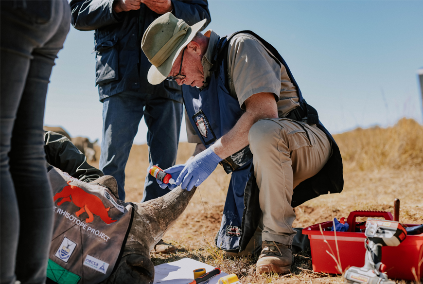 The Rhisotope Project successfully treated 29 rhinos with radioisotopes to protect them against poaching.